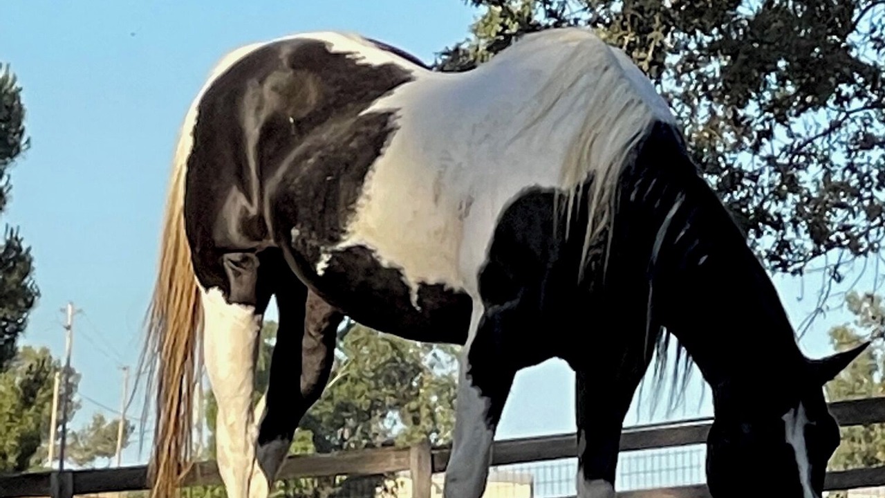 Photo of Outdoor in Paso Robles