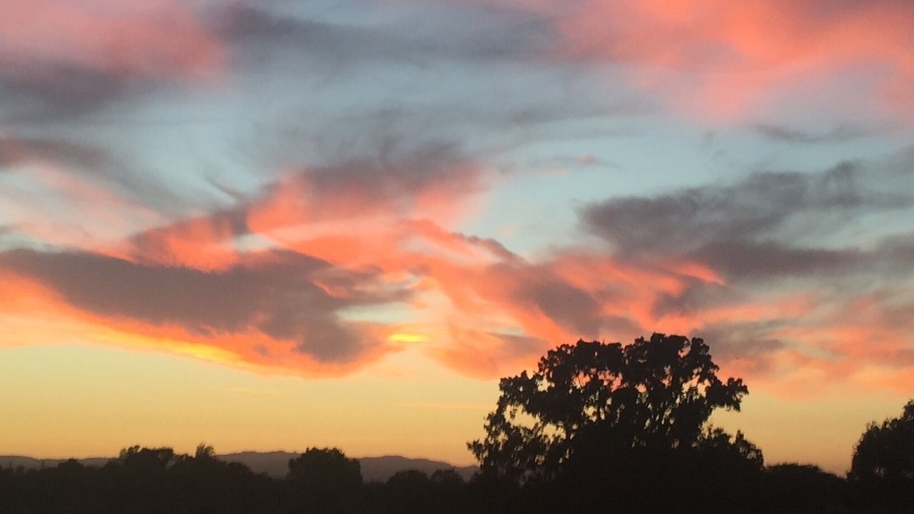 Photo of Others in Paso Robles