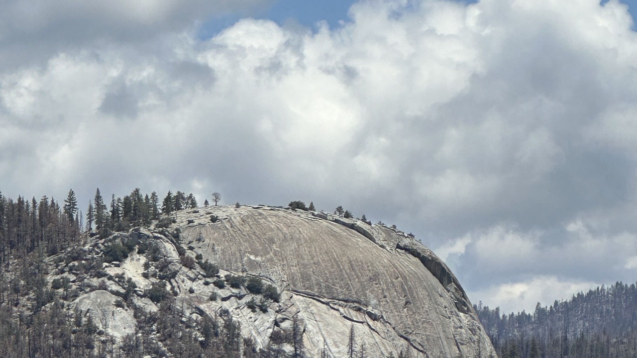 Photo of Others in Ponderosa