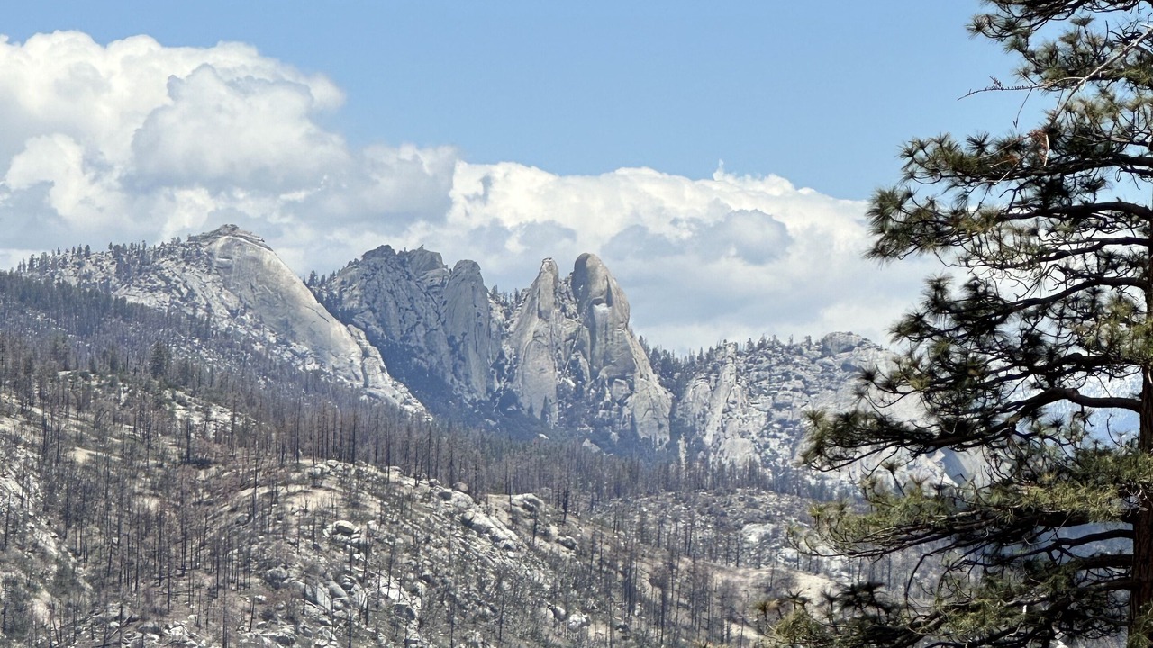 Photo of Others in Ponderosa