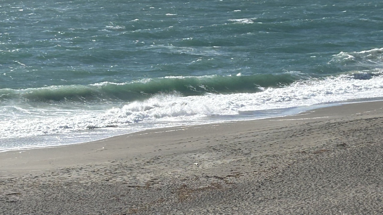 Photo of Others in Sereno del Mar