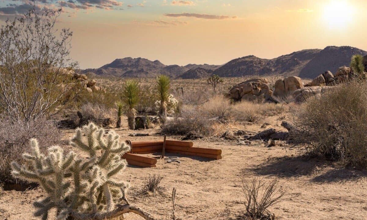 Photo of Others in Joshua Tree