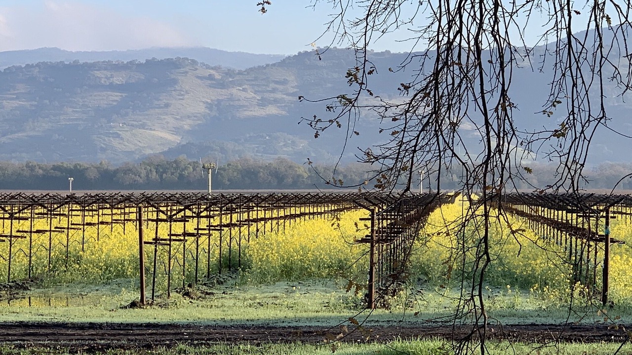Photo of Outdoor in Yountville