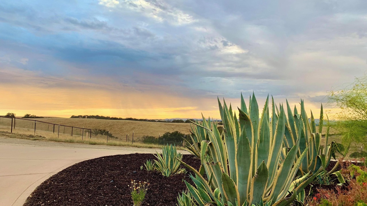 Photo of Outdoor in Templeton
