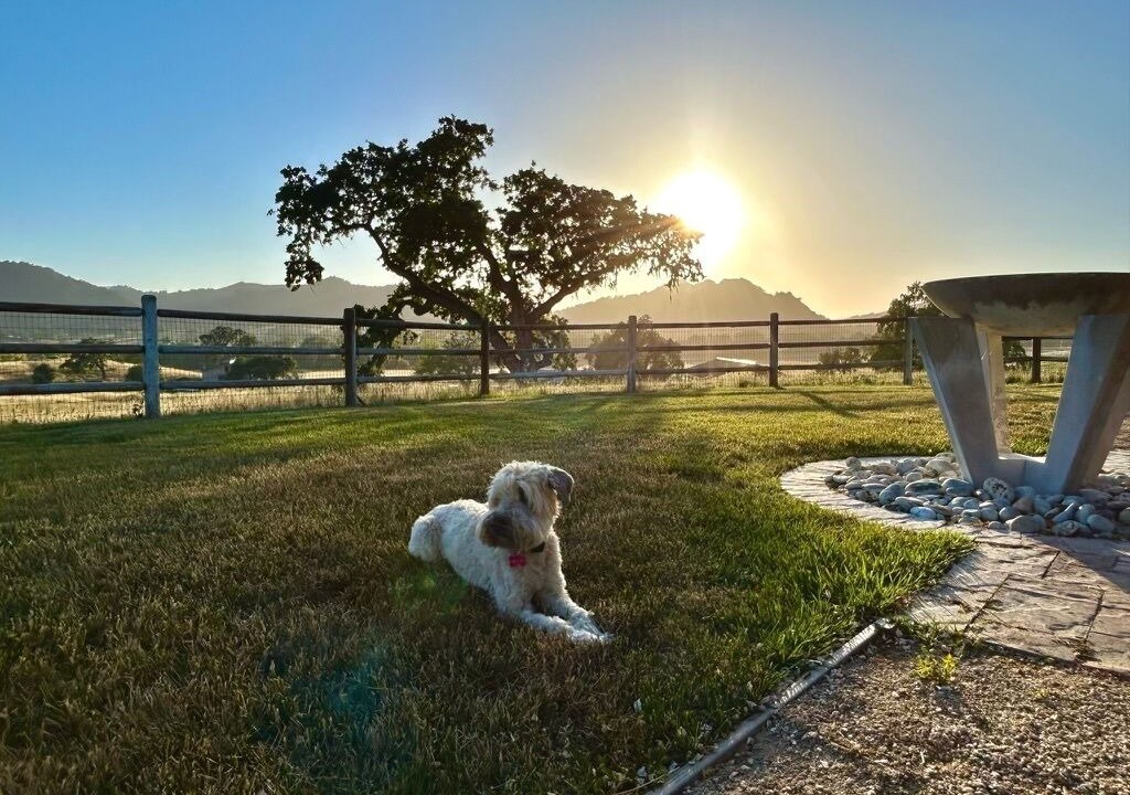 Photo of Others in Arroyo Grande