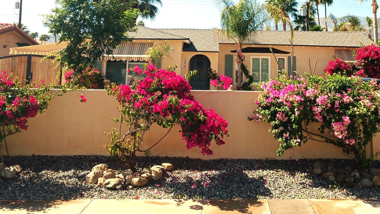Photo of Outdoor in Tahquitz River Estates