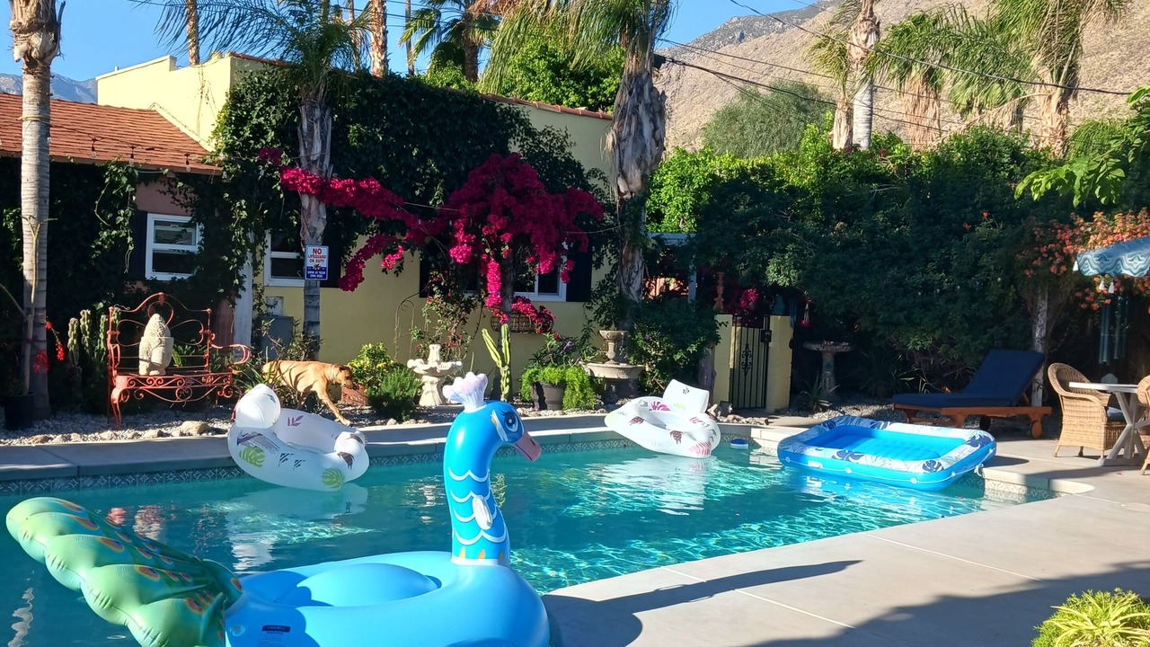 Photo of Outdoor in Tahquitz River Estates
