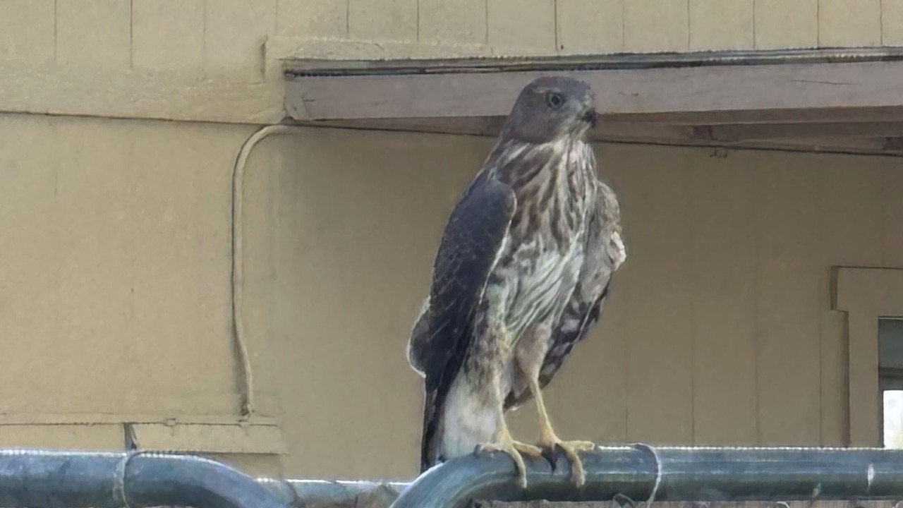 Photo of Others in Pahrump