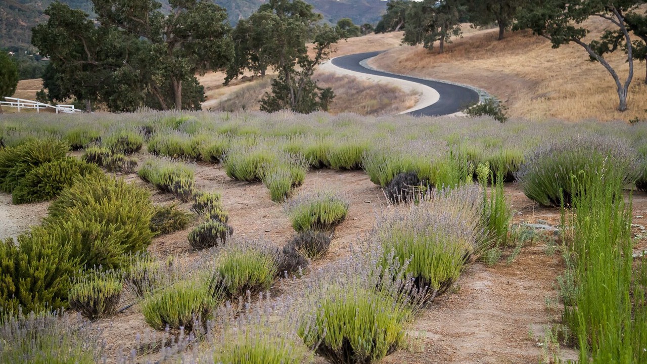 Photo of Outdoor in Lake Nacimiento