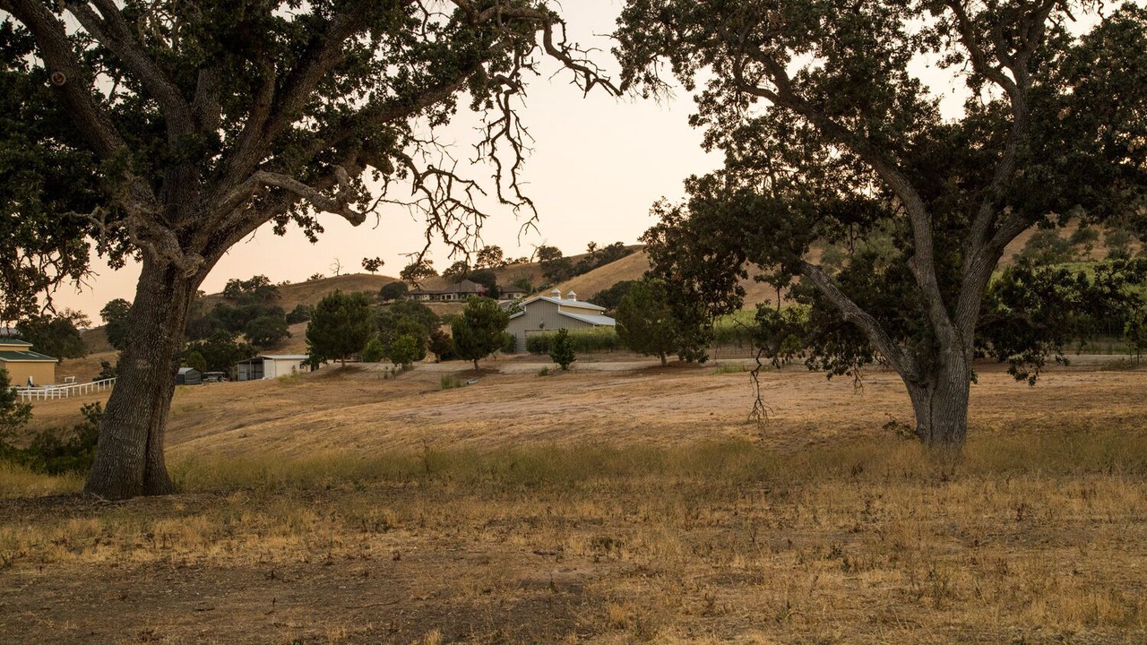 Photo of Others in Lake Nacimiento