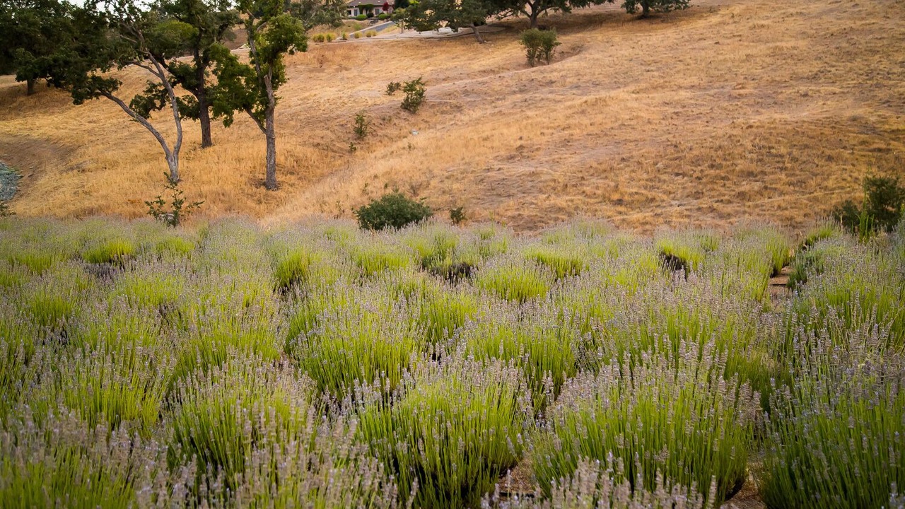 Photo of Outdoor in Lake Nacimiento