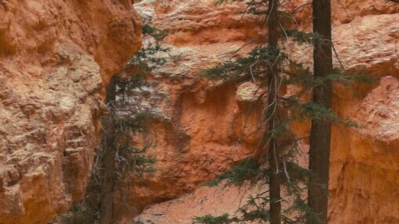 Photo of Others in Orderville