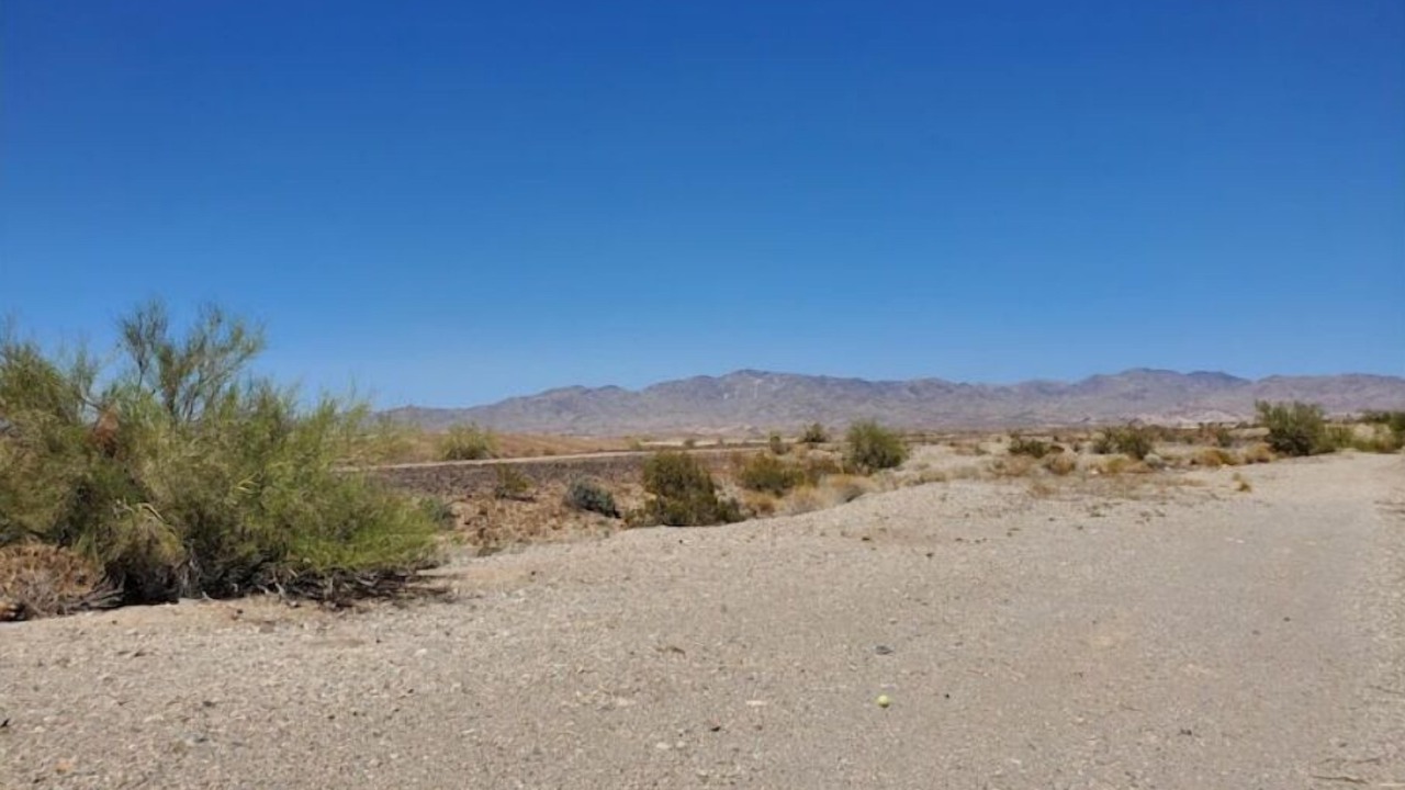 Photo of Others in Lake Havasu City