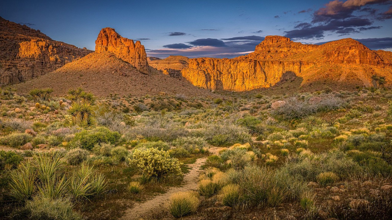 Photo of Others in Mohave Valley
