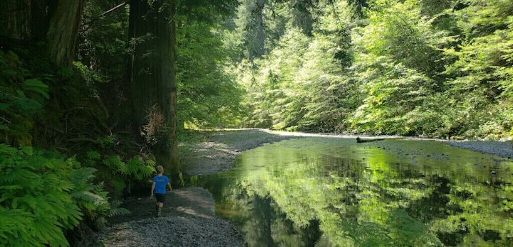 Photo of Outdoor in Weott