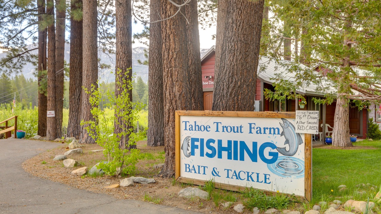 Photo of Others in Sierra Tract