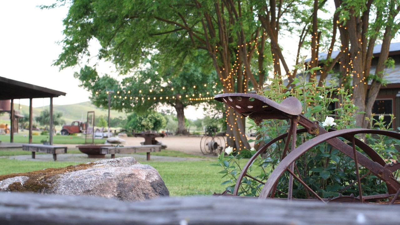 Photo of Outdoor in San Miguel