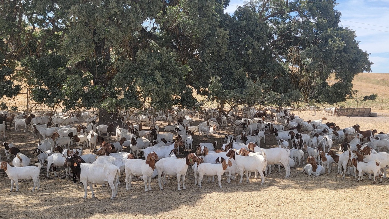 Photo of Others in San Miguel