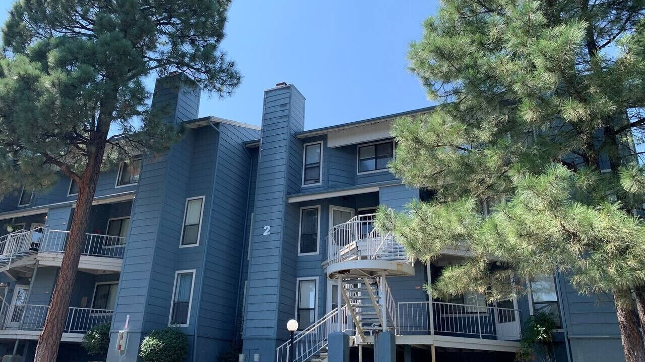 Photo of Outdoor in Show Low