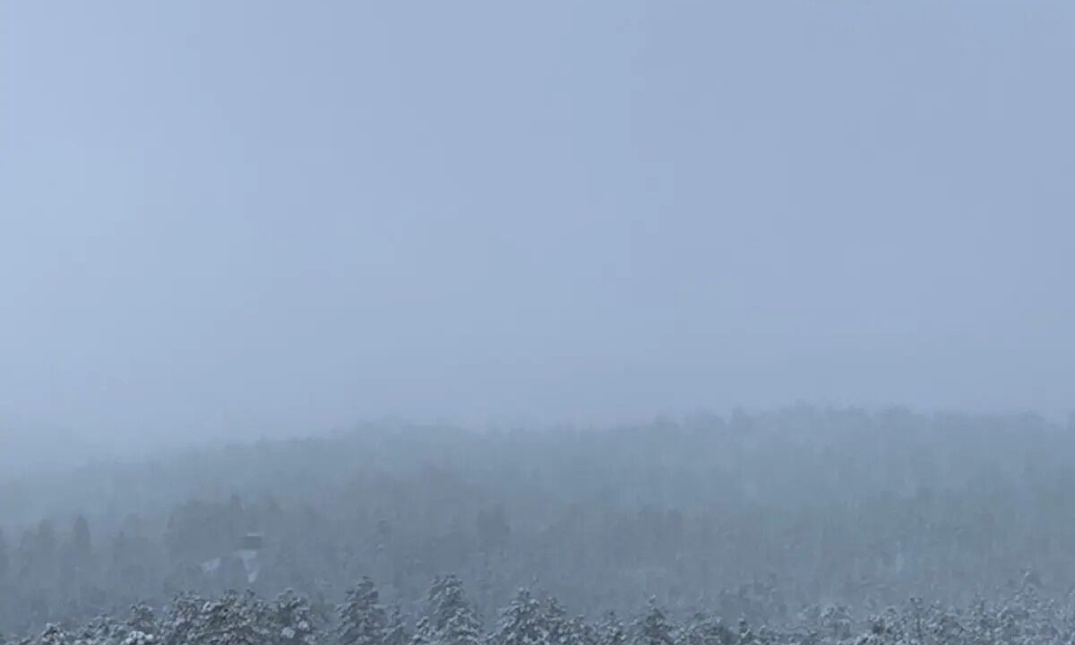 Photo of Others in Highland Pines