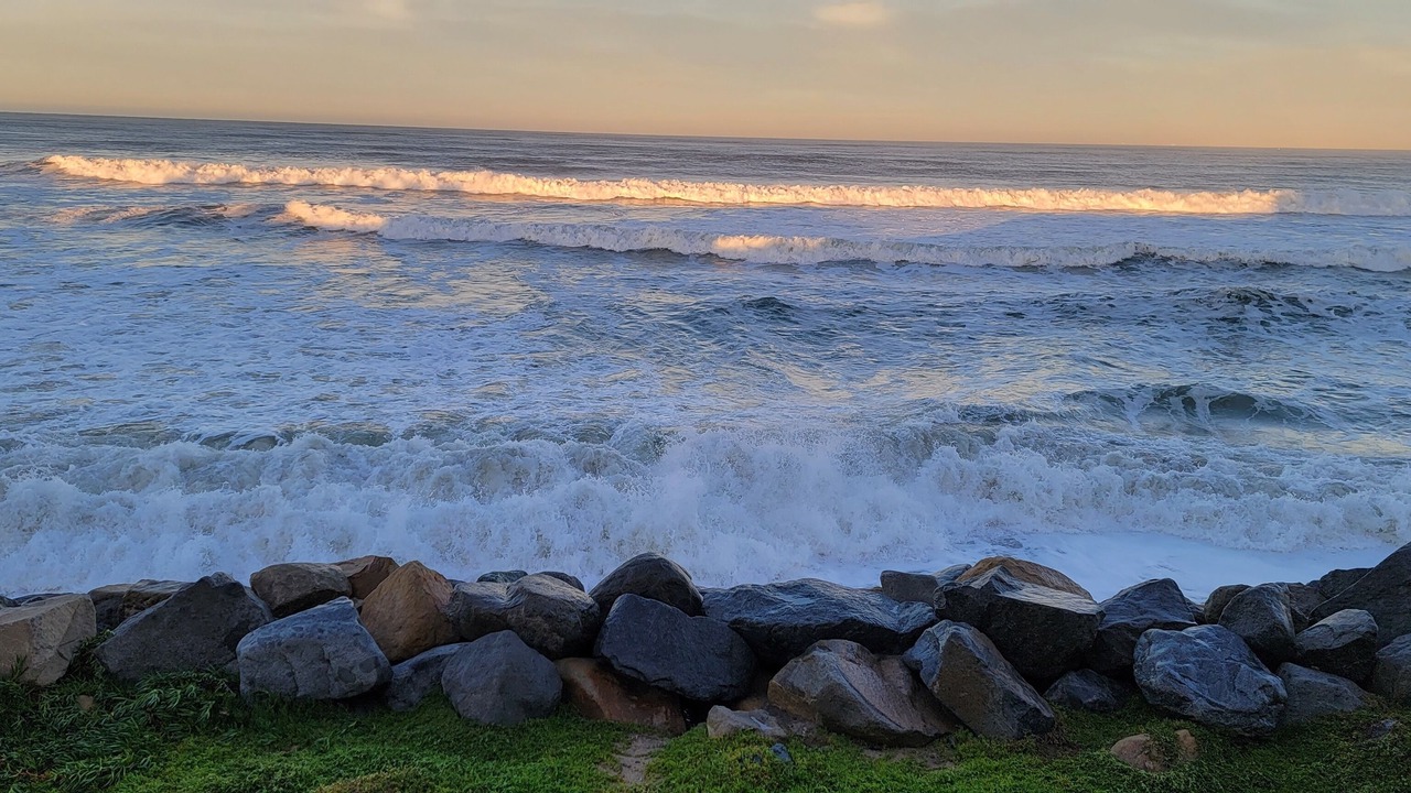 Photo of Others in Imperial Beach