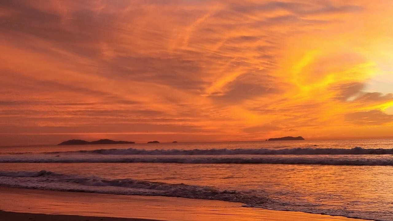 Photo of Others in Imperial Beach