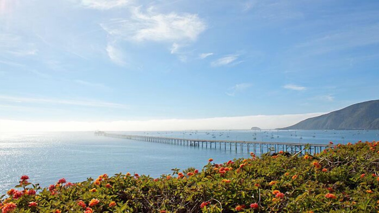 Photo of Others in Avila Beach