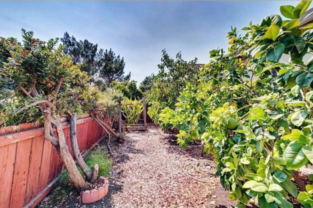 Photo of Outdoor in South San Jose