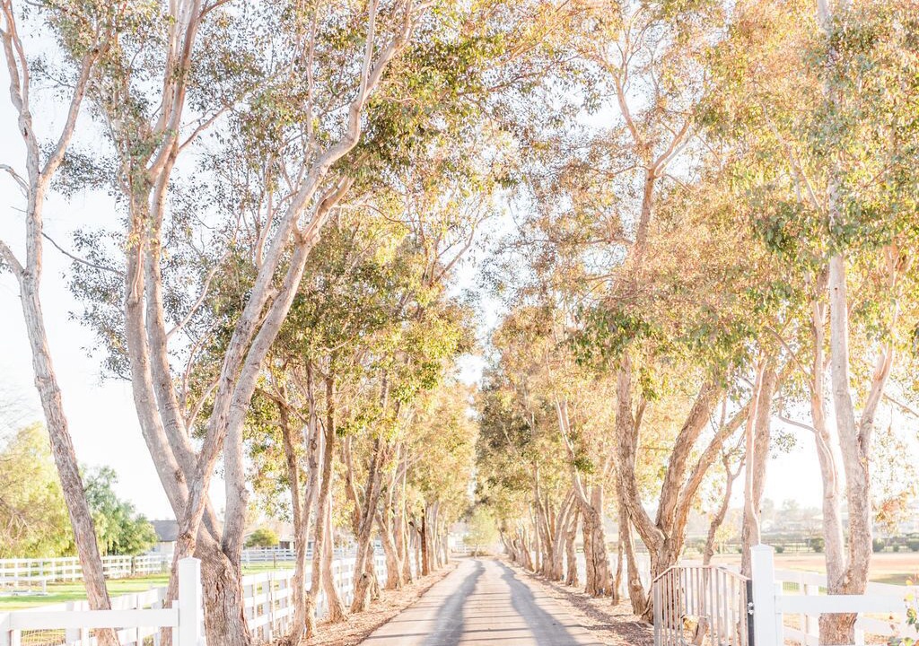 Photo of Others in Paso Robles