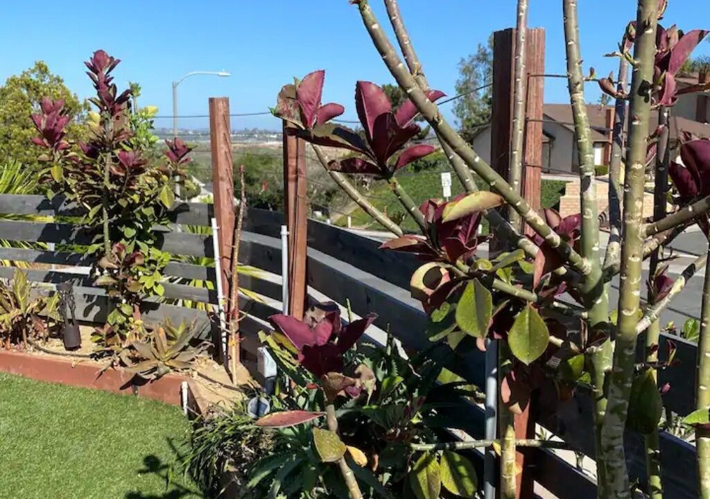 Photo of Outdoor in Loma Alta