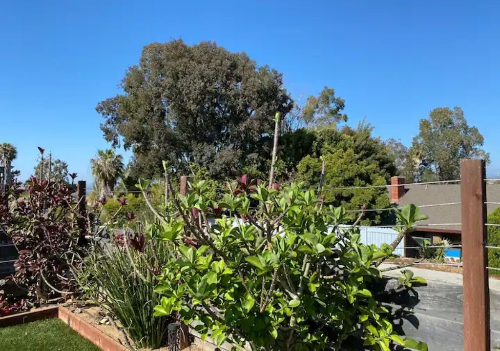 Photo of Outdoor in Loma Alta