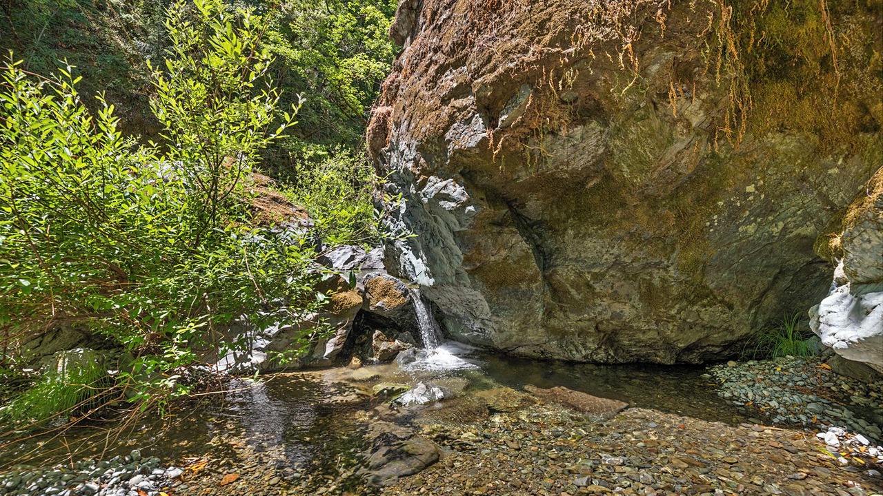 Photo of Others in Cazadero