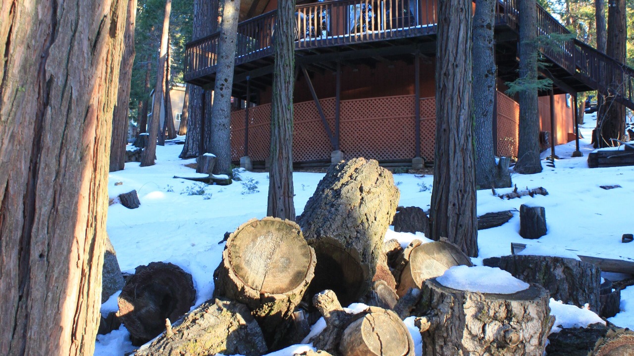 Photo of Others in Alta Sierra