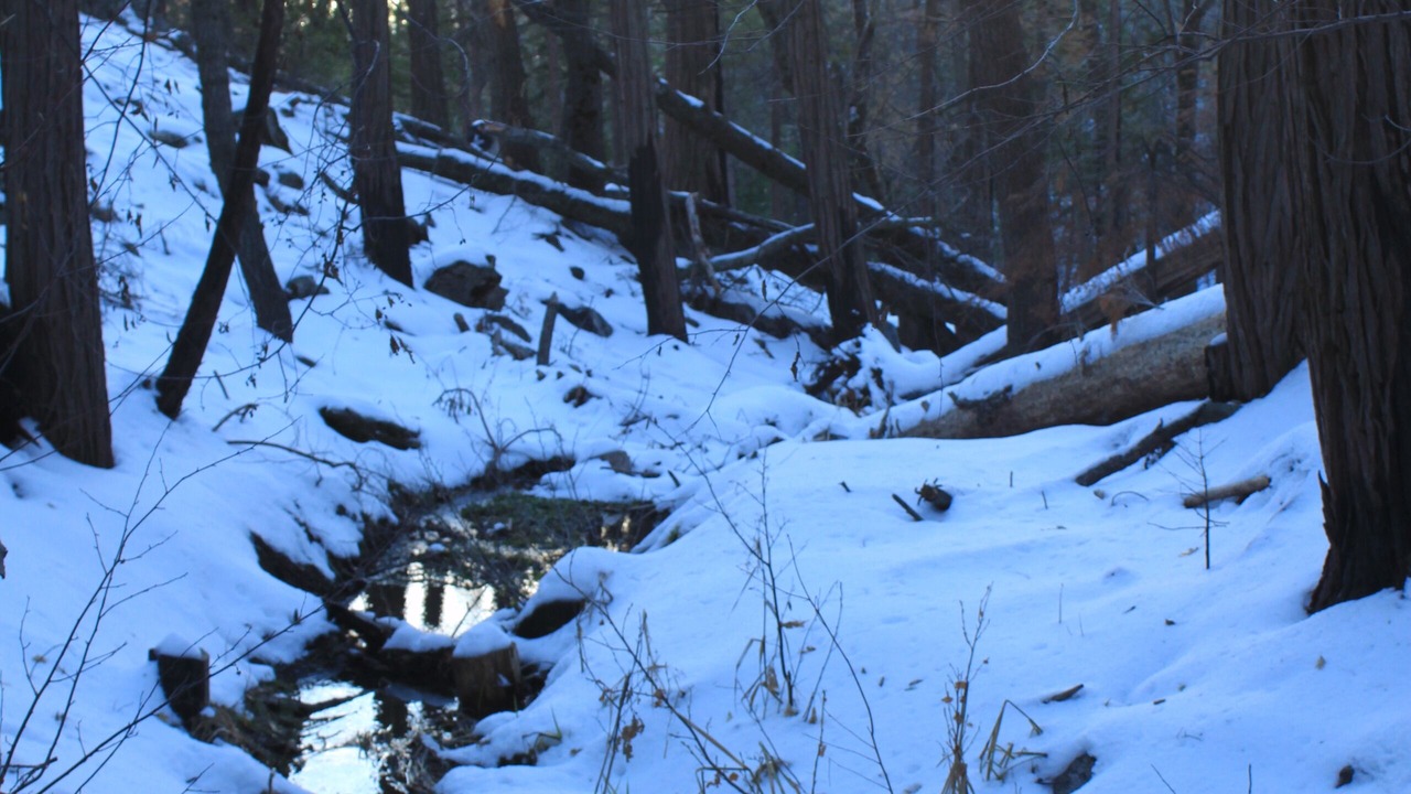 Photo of Outdoor in Alta Sierra