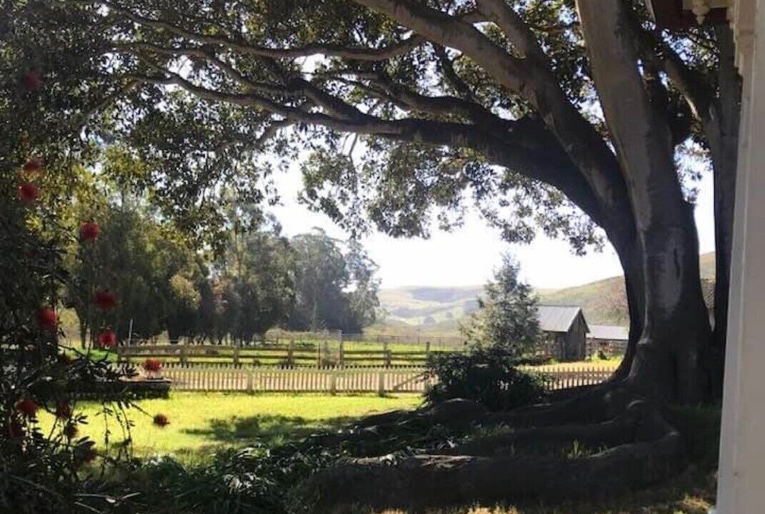 Photo of Outdoor in Cayucos