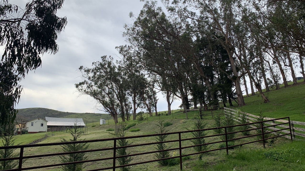Photo of Outdoor in Cayucos