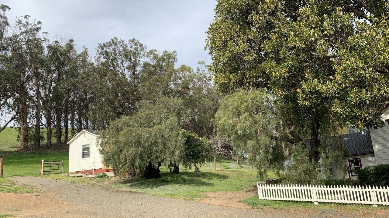 Photo of Others in Cayucos