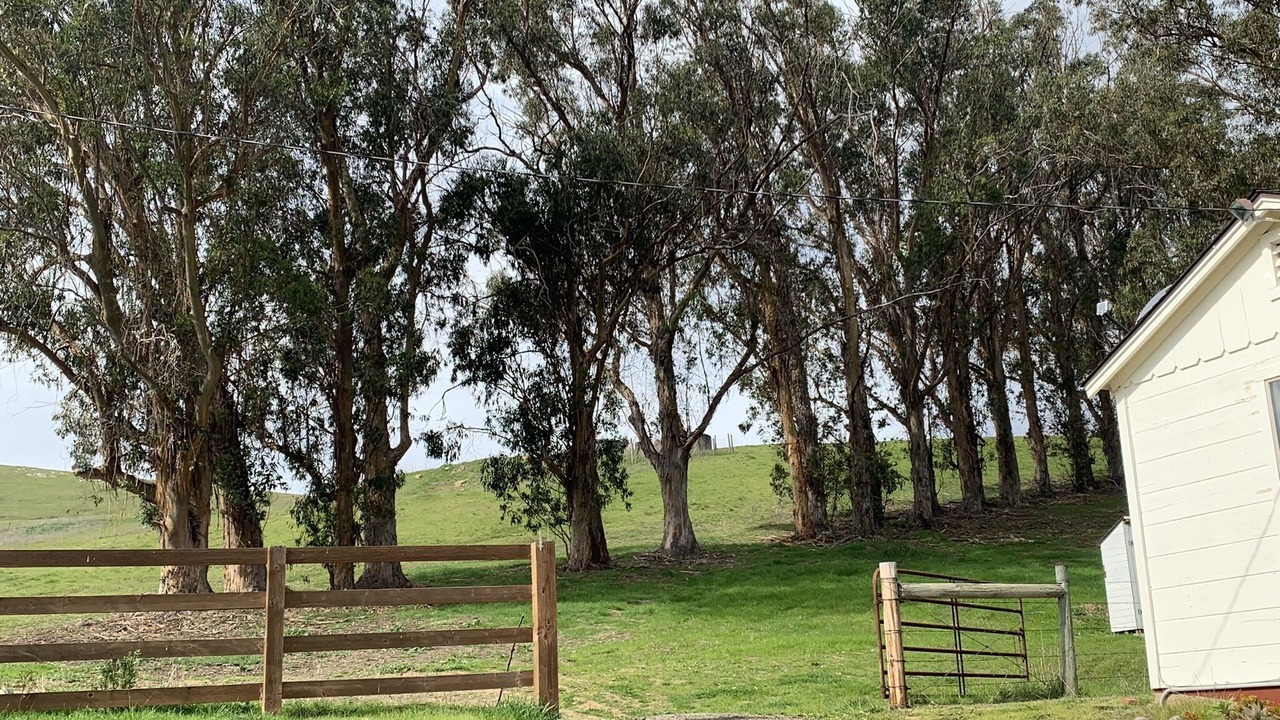 Photo of Others in Cayucos