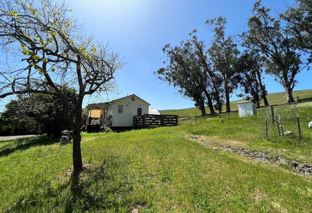 Photo of Others in Cayucos