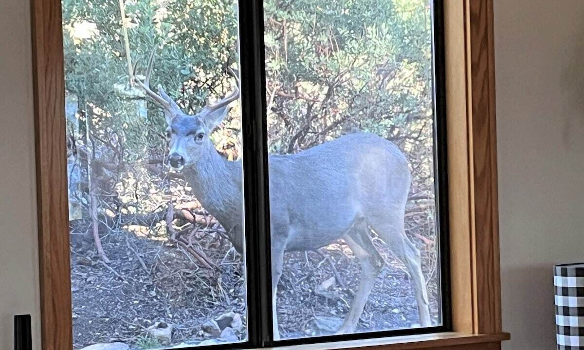 Photo of Others in Rancho Vista Hills