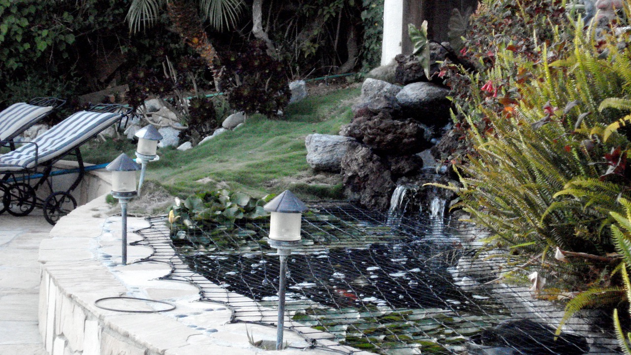 Photo of Others in Mystic Hills