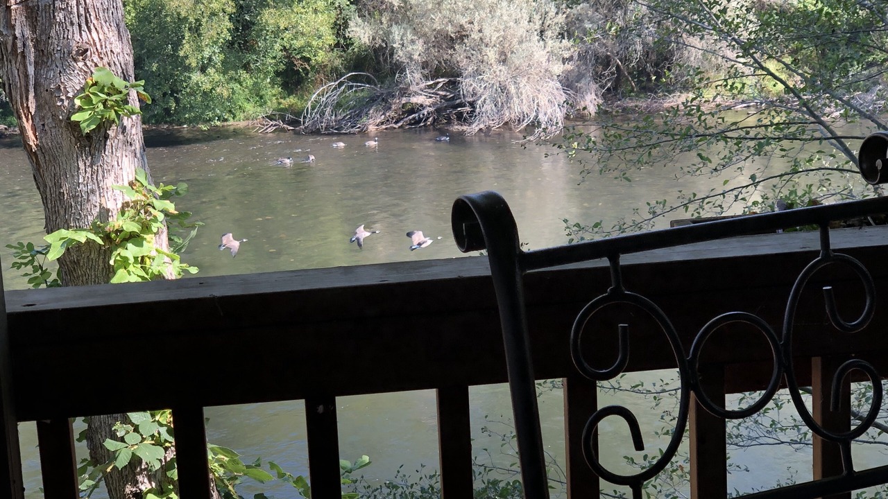 Photo of Outdoor in Gold Hill