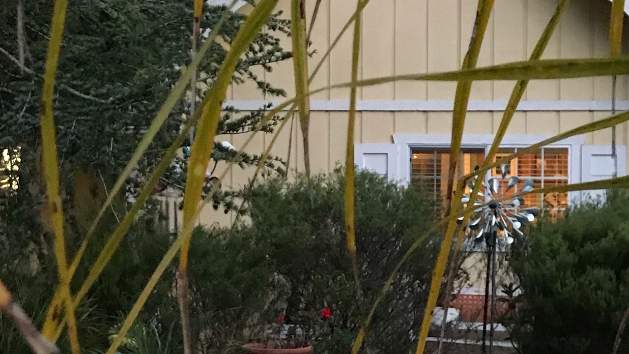 Photo of Outdoor in Carpenter Canyon