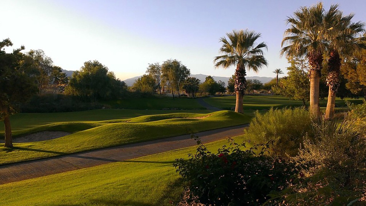 Photo of Others in Palm Desert