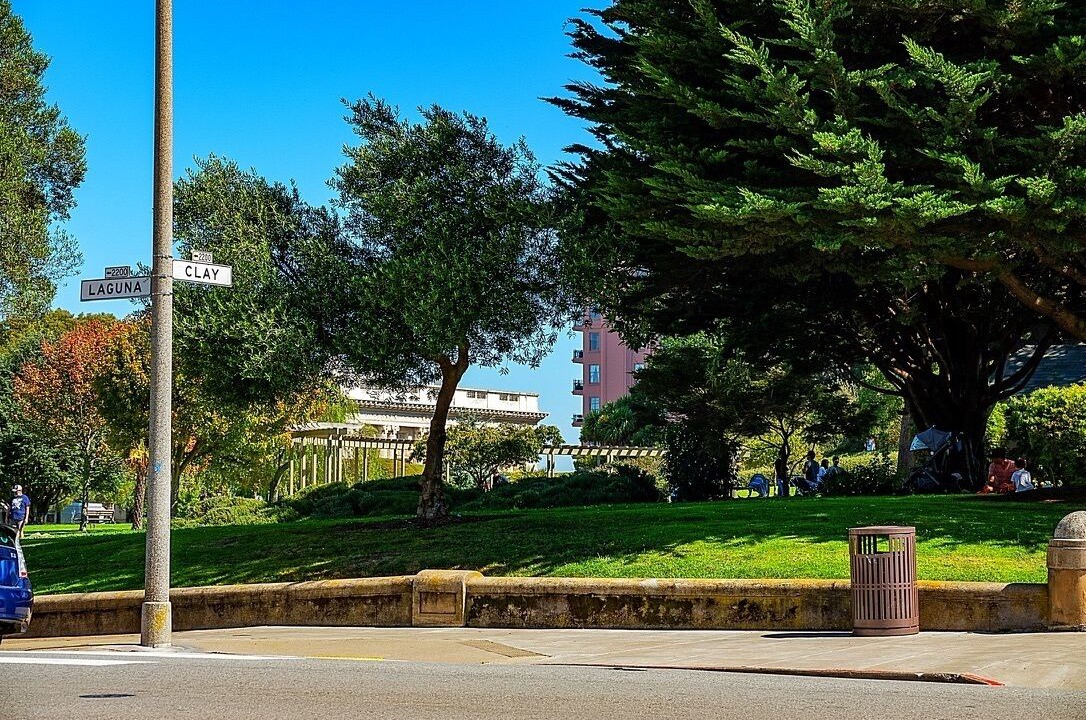 Photo of Outdoor in Pacific Heights