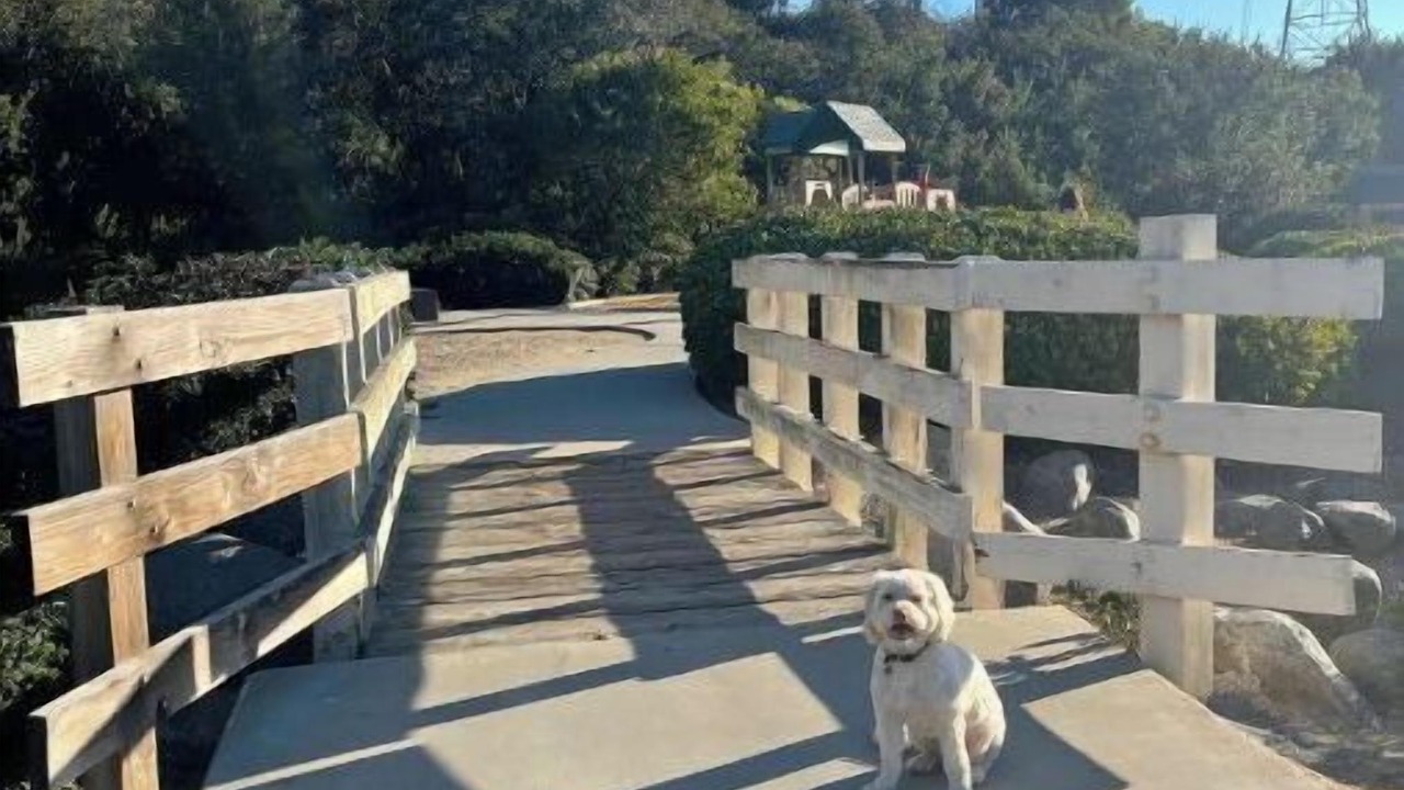 Photo of Outdoor in Rancho del Rey