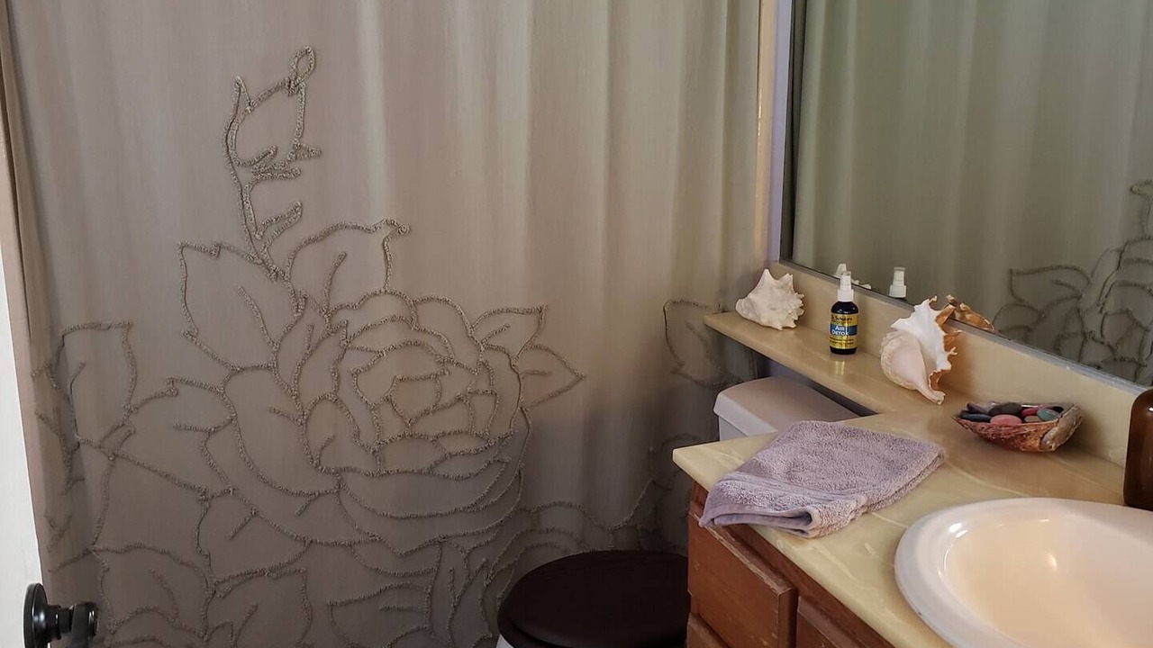 Photo of Bathroom in Lemon Grove