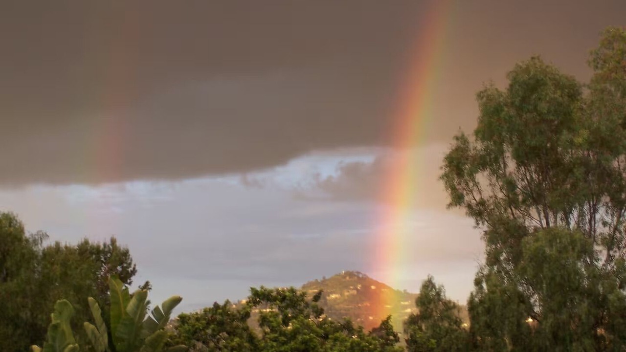 Photo of Others in Lemon Grove