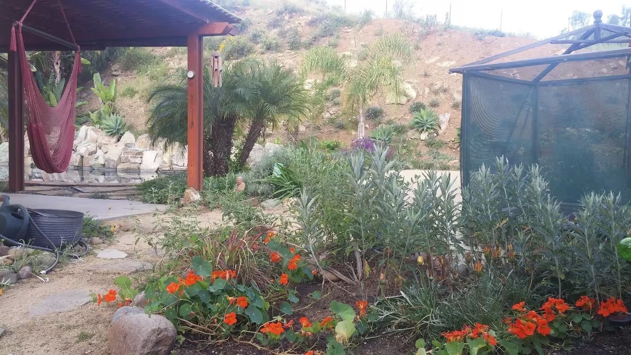 Photo of Outdoor in Lemon Grove