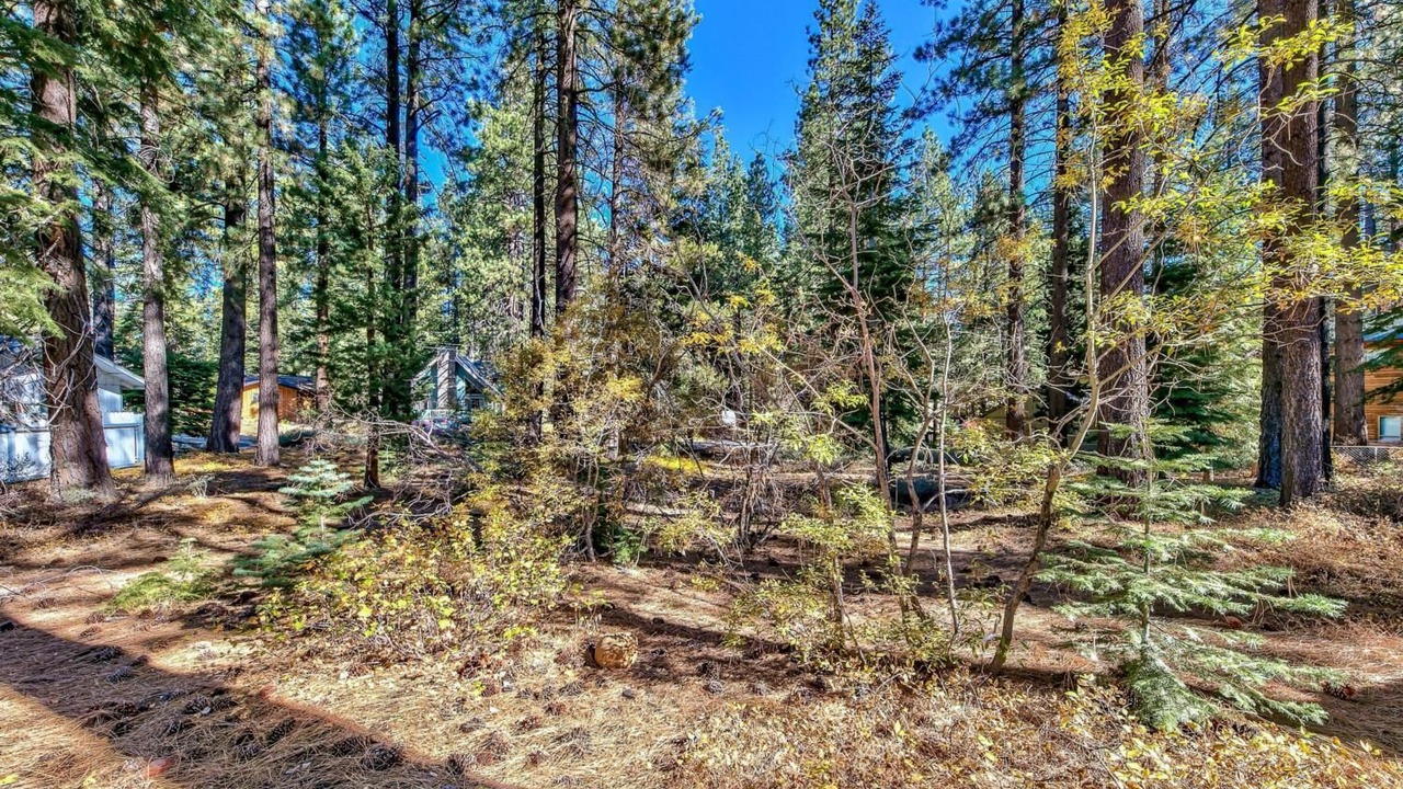 Photo of Others in Tahoe Paradise